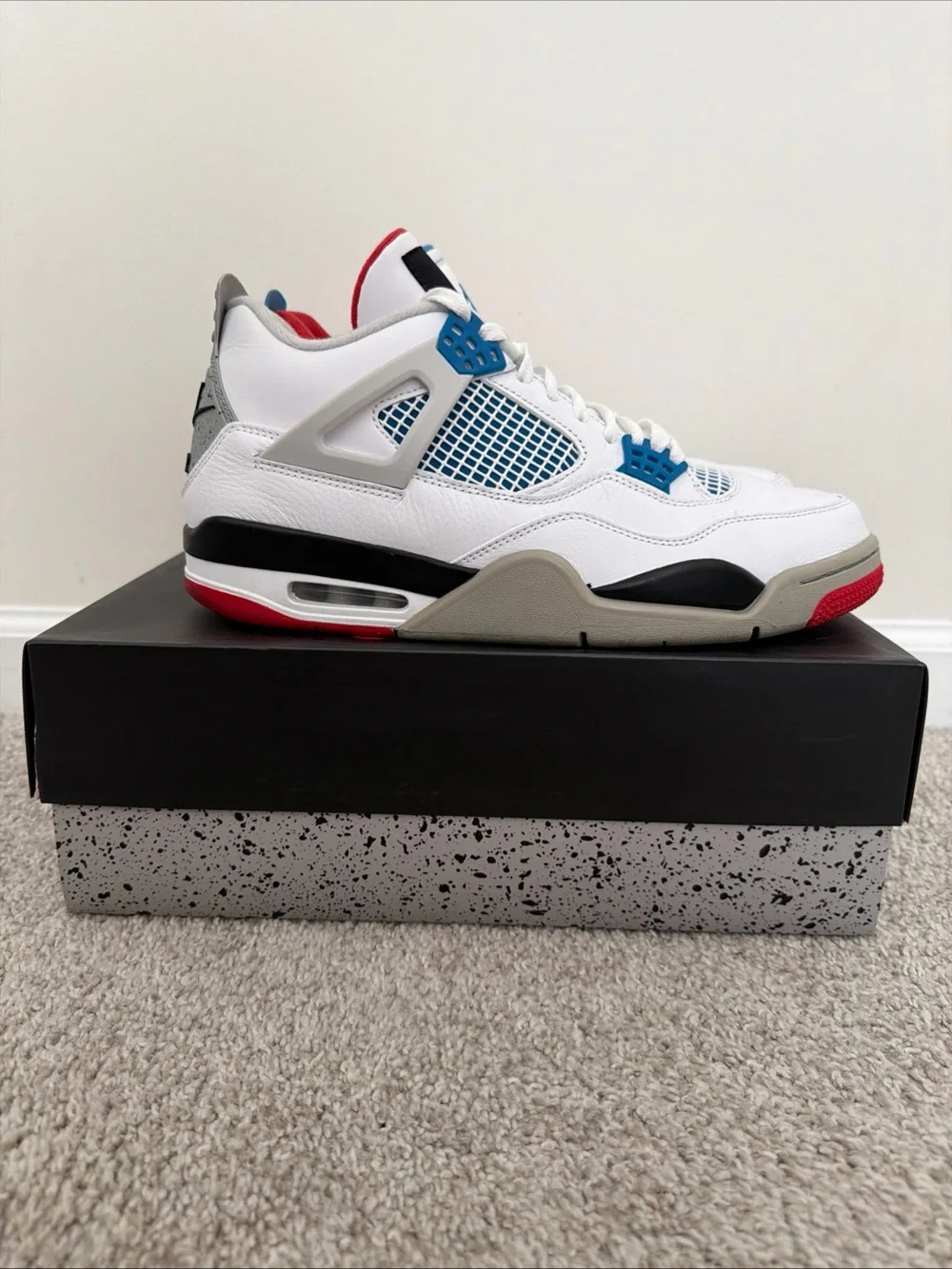 Jordan Retro 4 “What The” Size 10.5